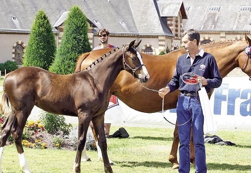 Elle Miss Koko à St-Lô (Photo ER)