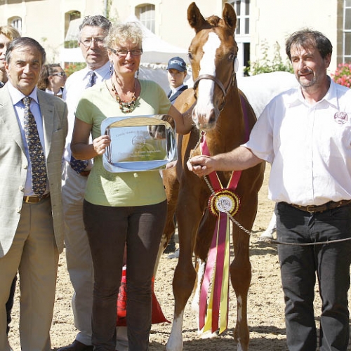 Patrick et Kirsten aux honneurs pour le titre de champion suprême remporté par Elyas