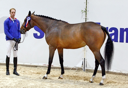 Brune de Main Bleue