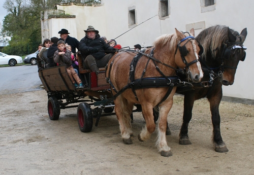 Visite du site en calèche