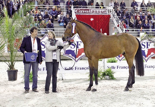 Bacchus Saint Lois, 6e des 3 ans