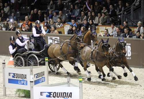 Excell remporte Bordeaux 2014