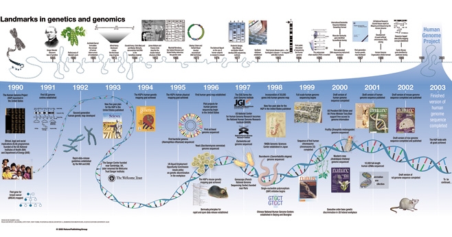 Ce calendrier, issu de la National Human Genome Research Institute, place le projet de recherche du génome humain dans sa genèse : c’est en 1865 que Mendel découvre les Lois de la Génétique; entre 1865 et 2003, de nombreuses découvertes se succèdent,