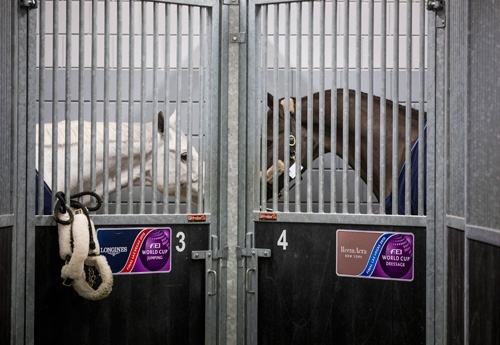 Discussion de champions : Cornet d’Amour et Valegro avant leur embarquement pour Las Vegas le 11 avril 2015... (© FEI/Dirk Caremans/Pool Pic Livepic Disclaimer)