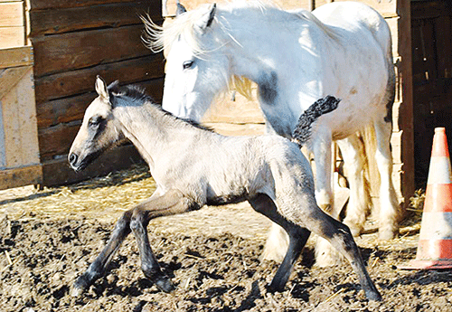 Naissance chez Marjo Rie