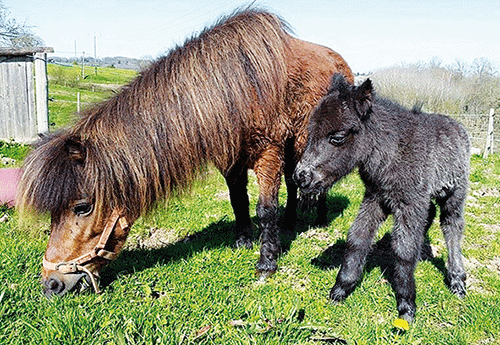 Naissance chez Audrey Marty