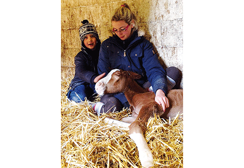 Naissance chez Maximilien Bibot