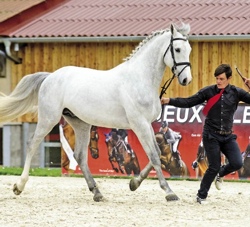 Coupe de Cœur (© Florence L.)