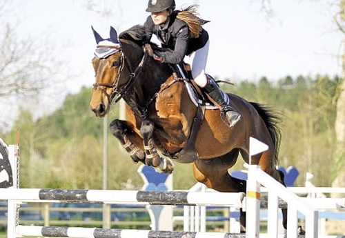 Elora Schmitter/Zalou du Rouet