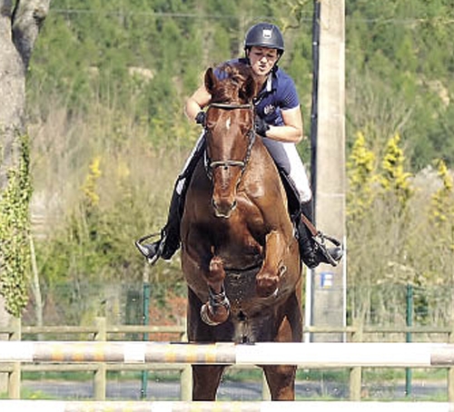 Julie Dechembenoit et Aylander du Pomier (Champion CIR 4 ans 2014), un couple suivi par Laurent Elias depuis cet hiver