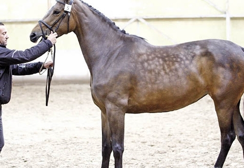 Clarinette Decarolles