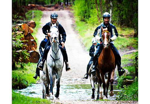 CEI*** (4ème et 3ème) Laurent Mosti (FRA) / Assiha de Fignols et Jean-Philippe Francès (FRA) / Tarzibus côte à côte à la sortie du gué