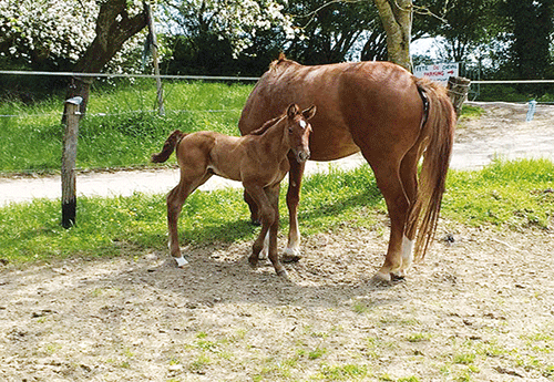 Fair-Play d’Elvange