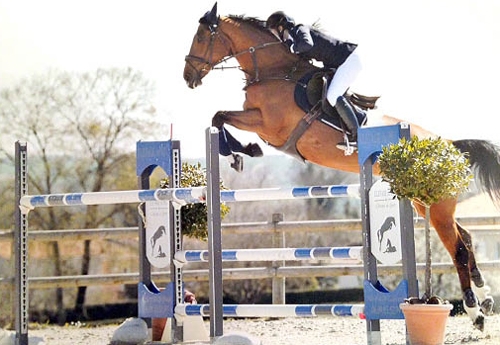 La jeune cavalière et sa jument Chaela à Mazeray