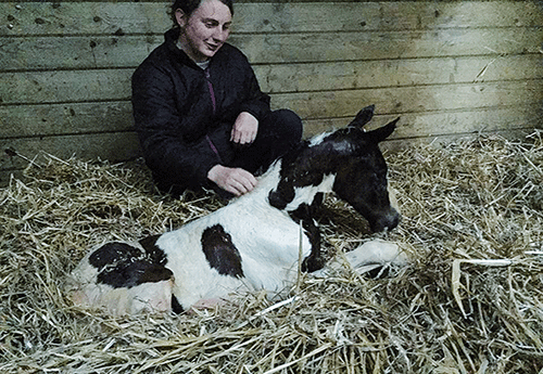 Naissance au Haras de Circée