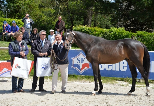 Dandy des Laquais