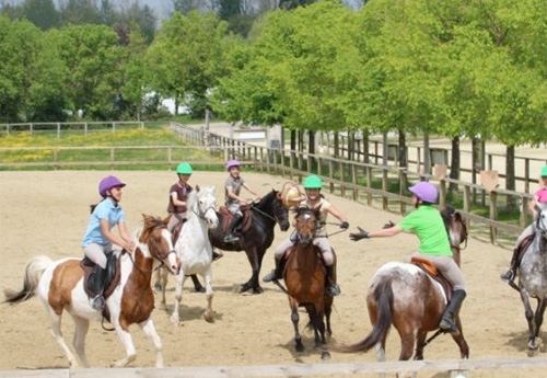 L'équipe de Horse-ball de la série TV 