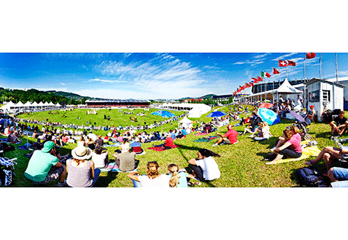 Vue du site de St Gall en 2014 © katiastuppia.ch/csio.ch