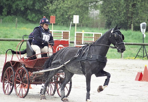 Diane Delmas, enseignante à l’école d’attelage du Haras, concourait également en Amateur 1 solo