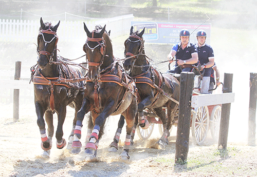 Stéphane Chouzenoux meilleurs performance Française à 4 chevaux (Photo Pascale Vacher)