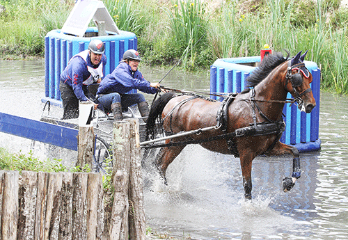 Marion Vignaud remporte le CAI à 1 cheval (Photo Pascale Vacher)