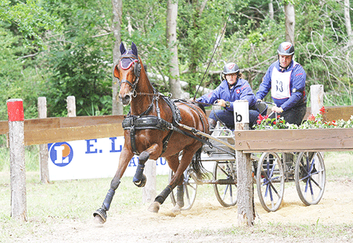 Marion Vignaud remporte le CAI à 1 cheval (Photo Pascale Vacher)