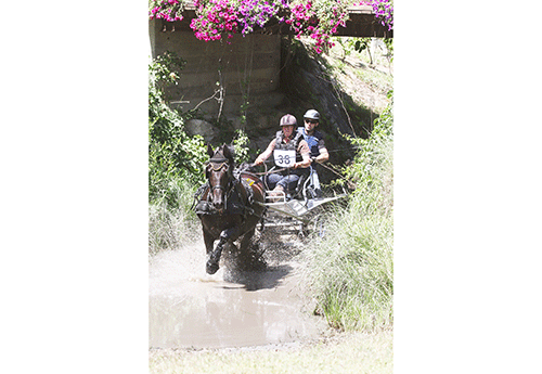 Michel Vignaud remporte le concours amateur à 1 cheval (Photo Pascale Vacher)