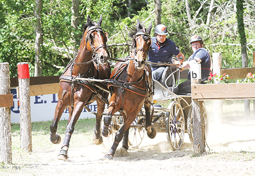 Mickael Sellier (Photo Pascale Vacher)