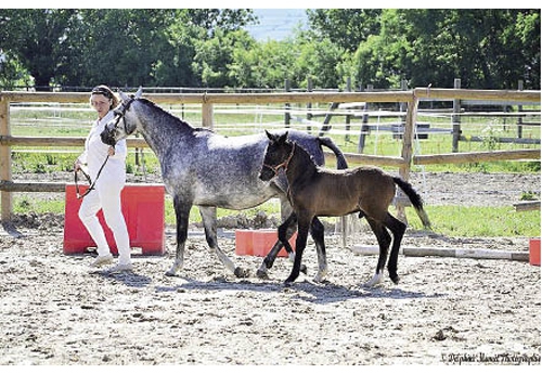 Freestyle de Tannach (© Studio photo DMP Pfaffenheim)