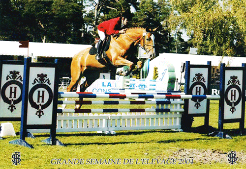 Showgirl, à Fontainebleau lors de la finale SHF en 2004 (Photo SHF)