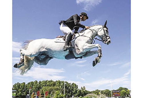 « Zirroco Blue, pilier de l’équipe néerlandaise avec Jur Vrieling est né à l’élevage des Forêts sous le nom de « Quamikase des Forêts ». Avec Cinq champions de France en épreuves amateurs, jeunes chevaux, cavaliers… et de très nombreux bons gagnants internationaux, l’affixe « Des Forêts » est celui d’un des élevages français les plus performants. » (© Noëlle Floyd)