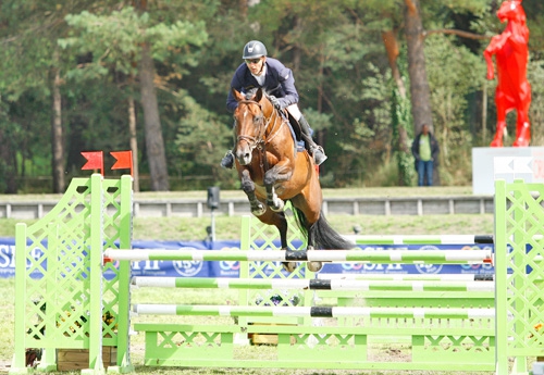 Ascot des Ifs