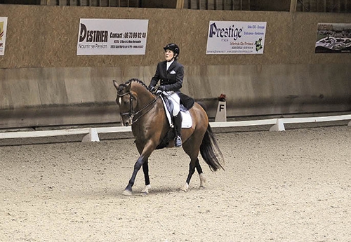 Anne Mirolo toujours parmi les meilleurs amateurs en dressage