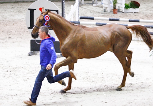 Chabada de l'Esques (Quebracho Semilly)