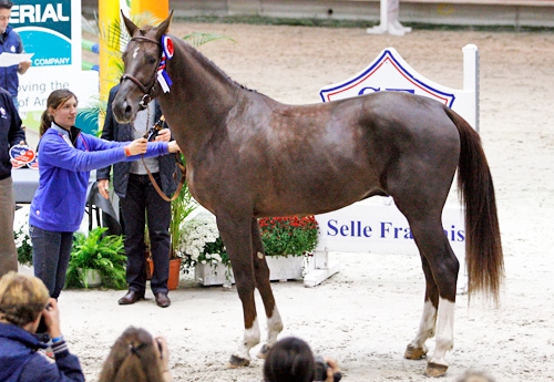 Champion du Lys (Nervoso)