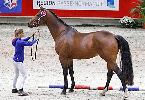Chenapan de Canteloup (Ugano Sitte)