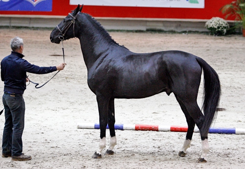 Clarck de Courcel (Diamant)