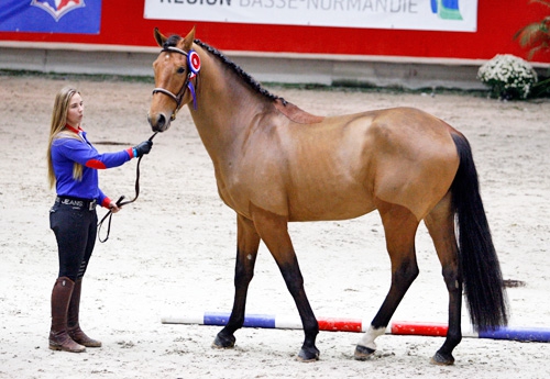 Condor du Rouet (Conrad)