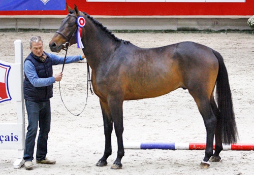 Cancio Zimquest (Quick Star)