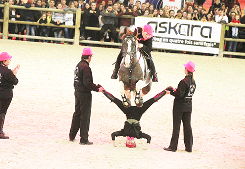 La troupe Epona Photos Pascale Vacher
