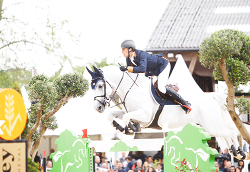 Philippaerts/Zilverstar