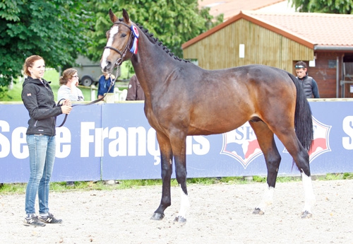 Espoir de la Vaugine