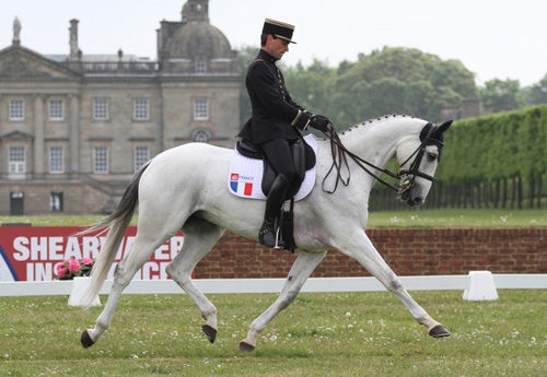 Mathieu Van Landeghem et Trouble Fete ENE HN remportent la Médaille D'argent en individuel : ici durant le Dressage devant le magnifique château de Houghton Hall  (Photo H. L.)