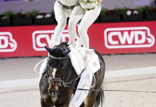 Lucie et Simon Chevrel remportent le Pas de Deux