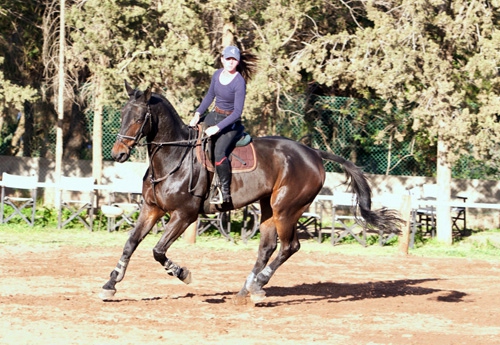 Emma, fille de Françoise, monte en compétition