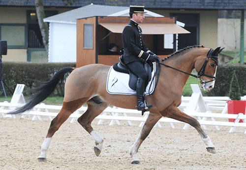 Thibaut Vallette/Qing du Briot (presse Alain Laurioux)