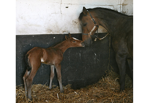 Naissance chez Céline Nebout