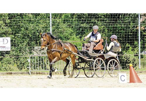 Roland Dimberton remporte la Club Elite solo