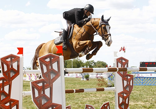 Mortier/just do It