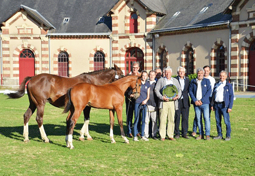 Havrix du Plant